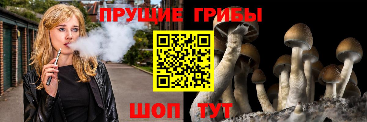Галлюциногенные грибы Psilocybine cubensis  Вход с VPN  Псилоцибиновые грибы GOLDEN TEACHER  Туймазы 